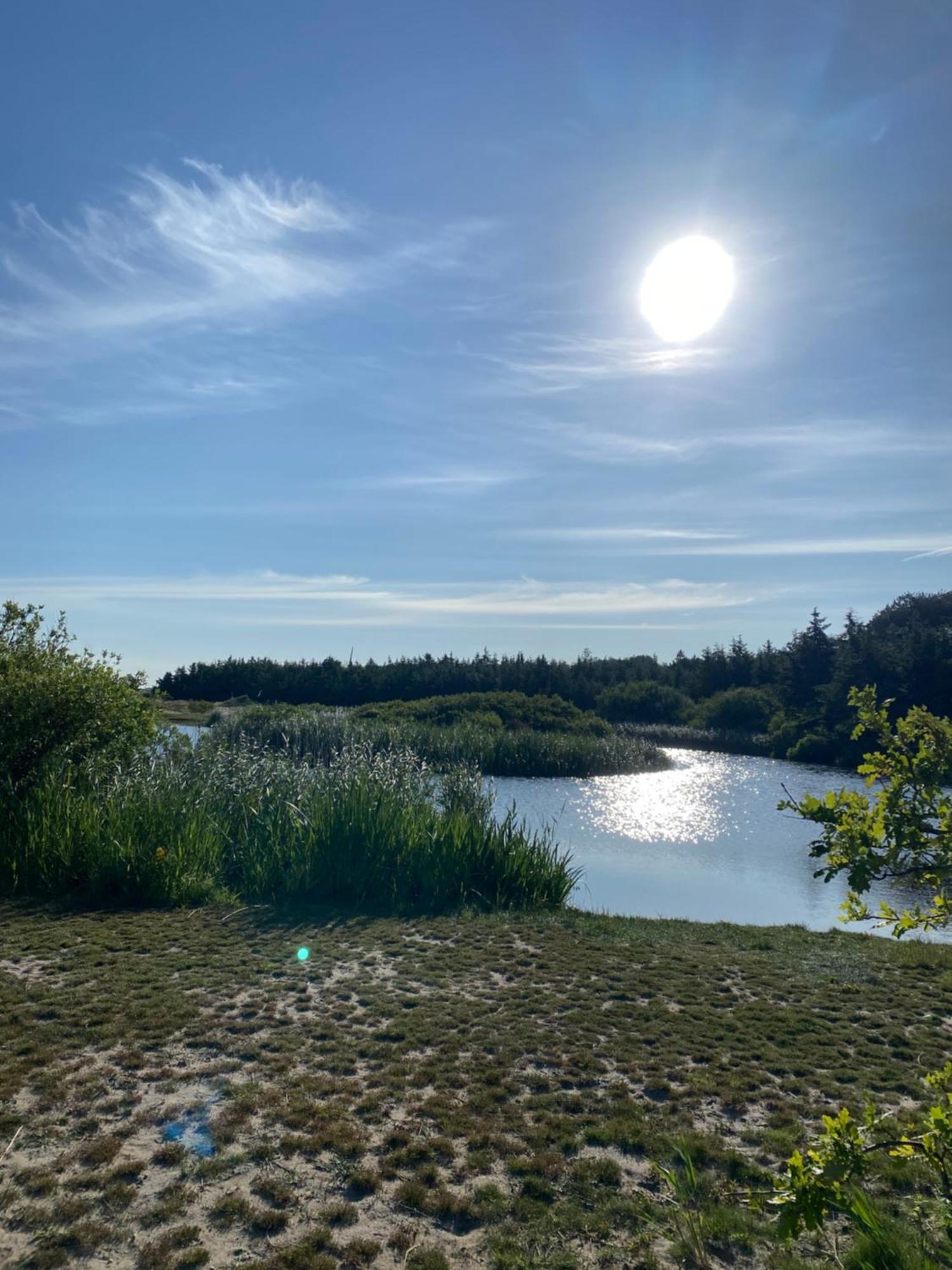 Zijperweg Vakantiehuis Petten Buitenkant foto